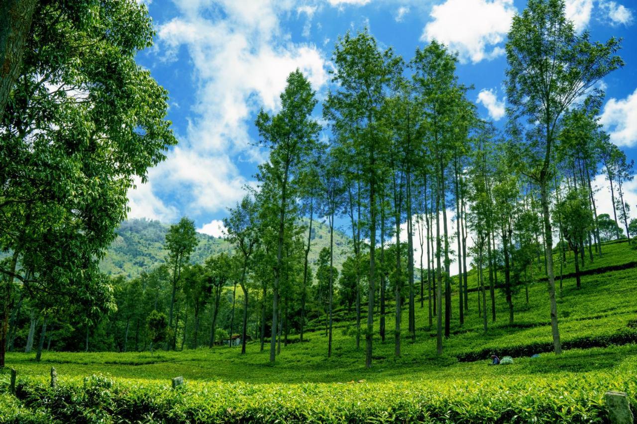 Biosphere Coonoor Buitenkant foto